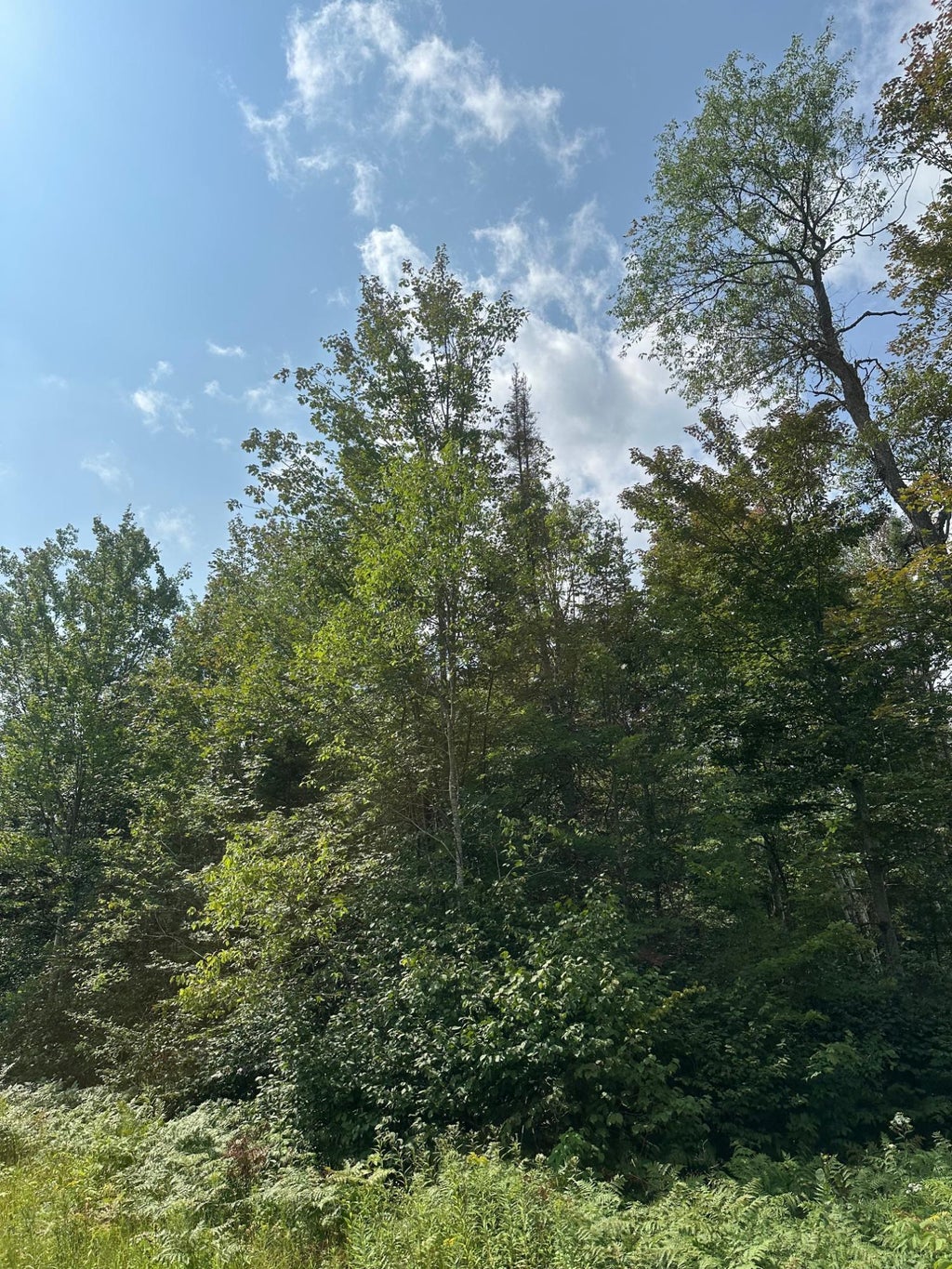 On Malvern Fire Ln, Rhinelander