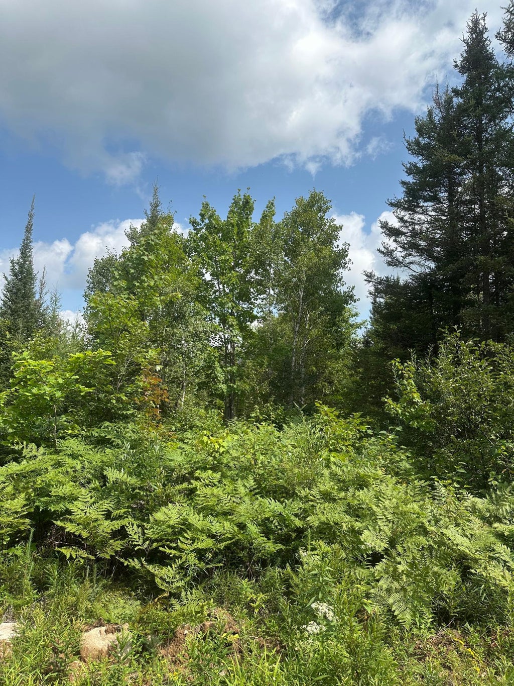 On Malvern Fire Ln, Rhinelander