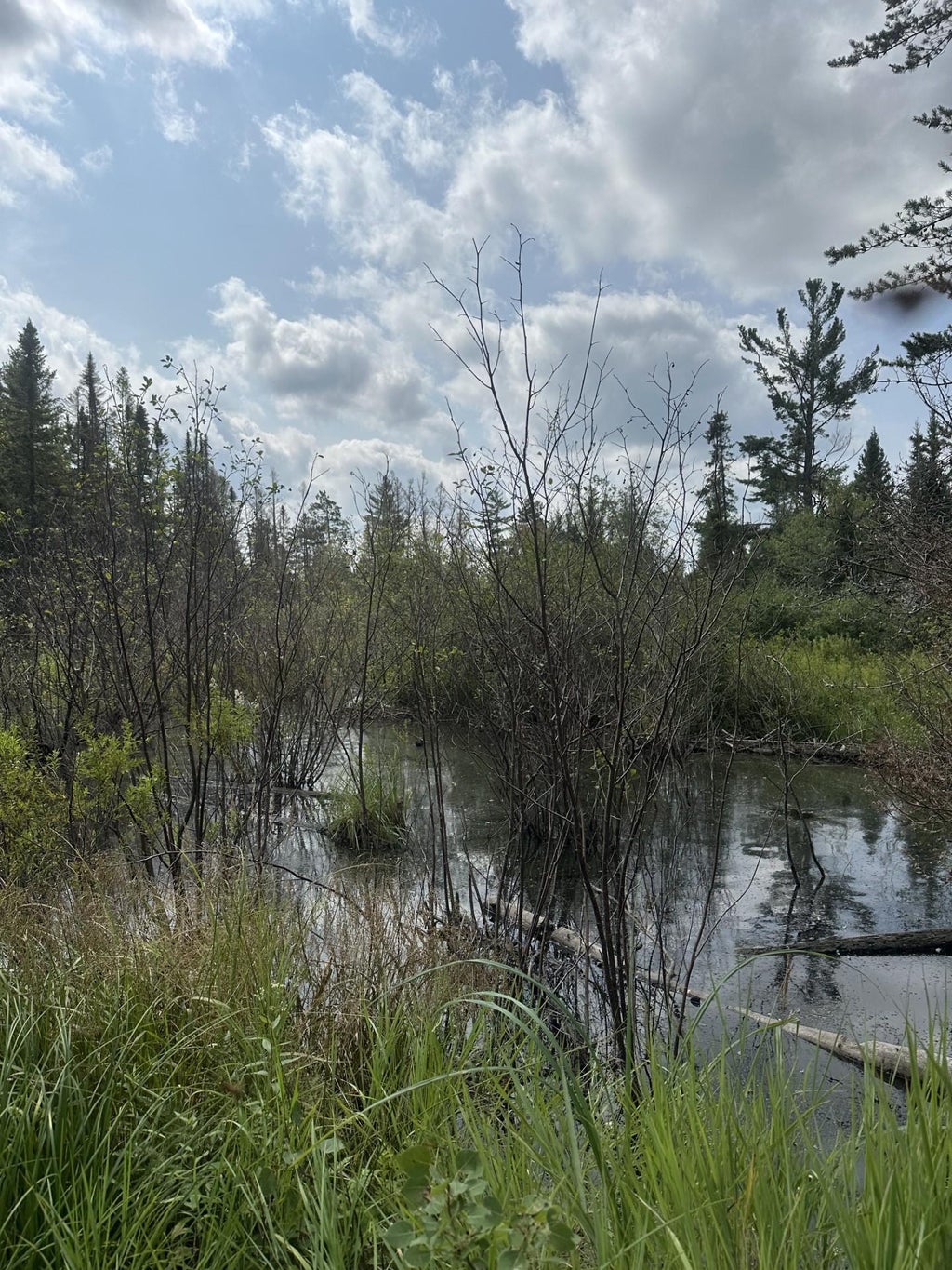 On Malvern Fire Ln, Rhinelander