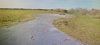 Photo of Listing #A11862043