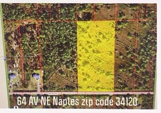 Photo of Listing #A11858356