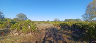 Photo of Listing #A11866316