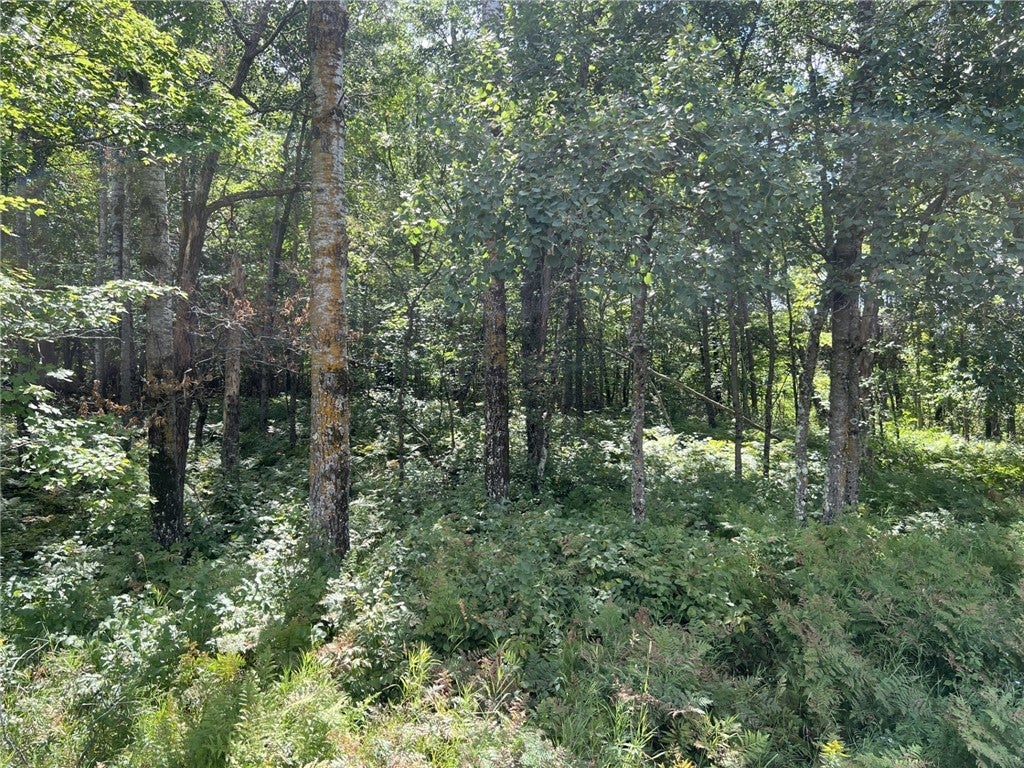 Xxxx Tollander Road, Siren