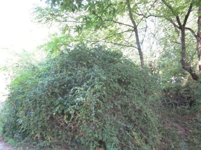 00 Douglas Road, North Sewickley