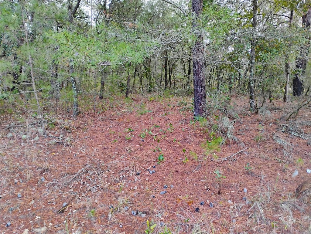 302 Kennedy, Palatka