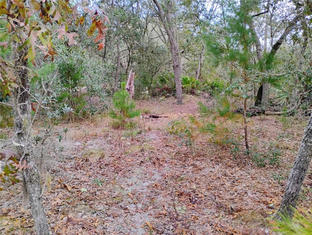 4 of 9 - 244 Thompson, Palatka, FL