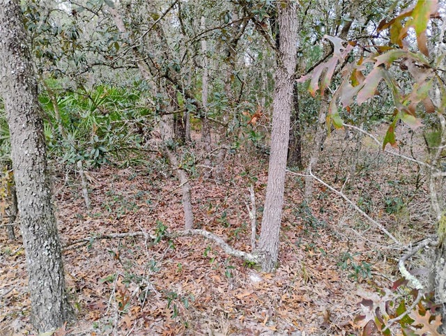 5 of 9 - 244 Thompson, Palatka, FL