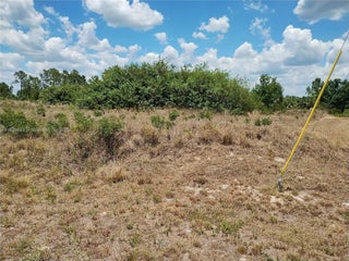 Photo of Listing #A11871633