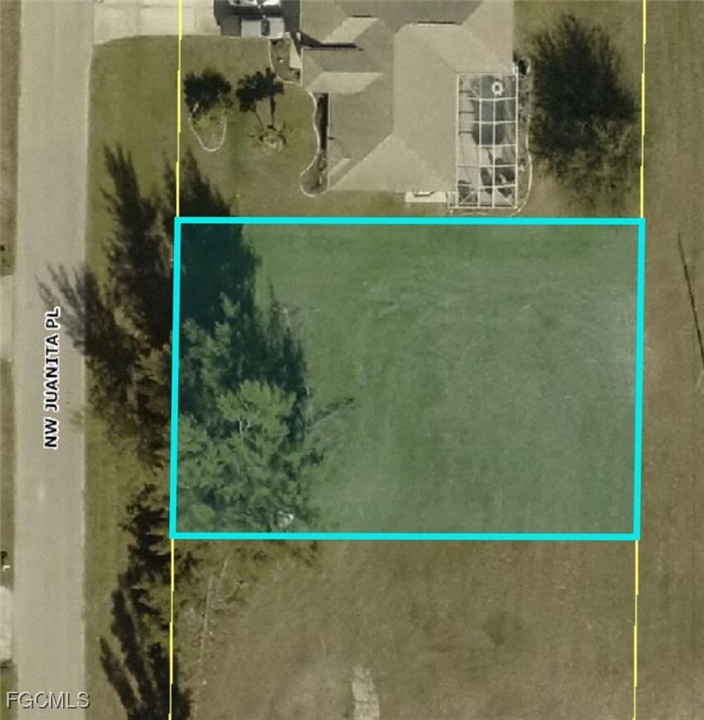 1319 Nw Juanita Pl, CAPE CORAL