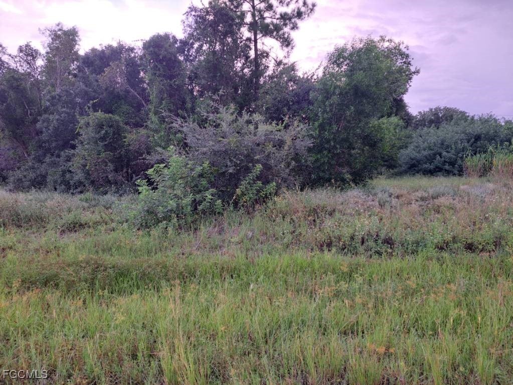 145/147 Pine Ln, LEHIGH ACRES