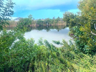 Photo of Listing #A11873680