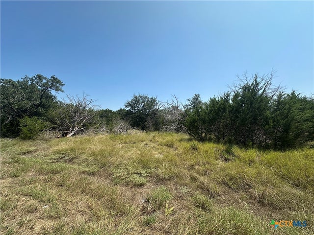 9679 Live Oak Road, Salado