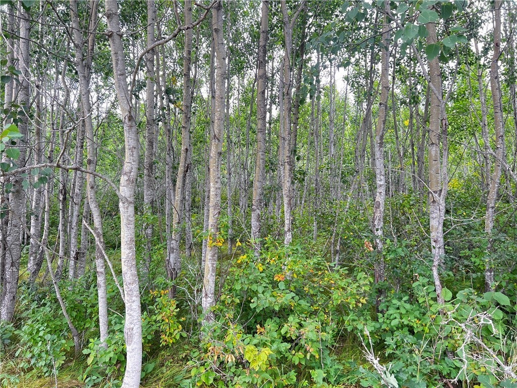 Lot 1 County Road T, Wascott