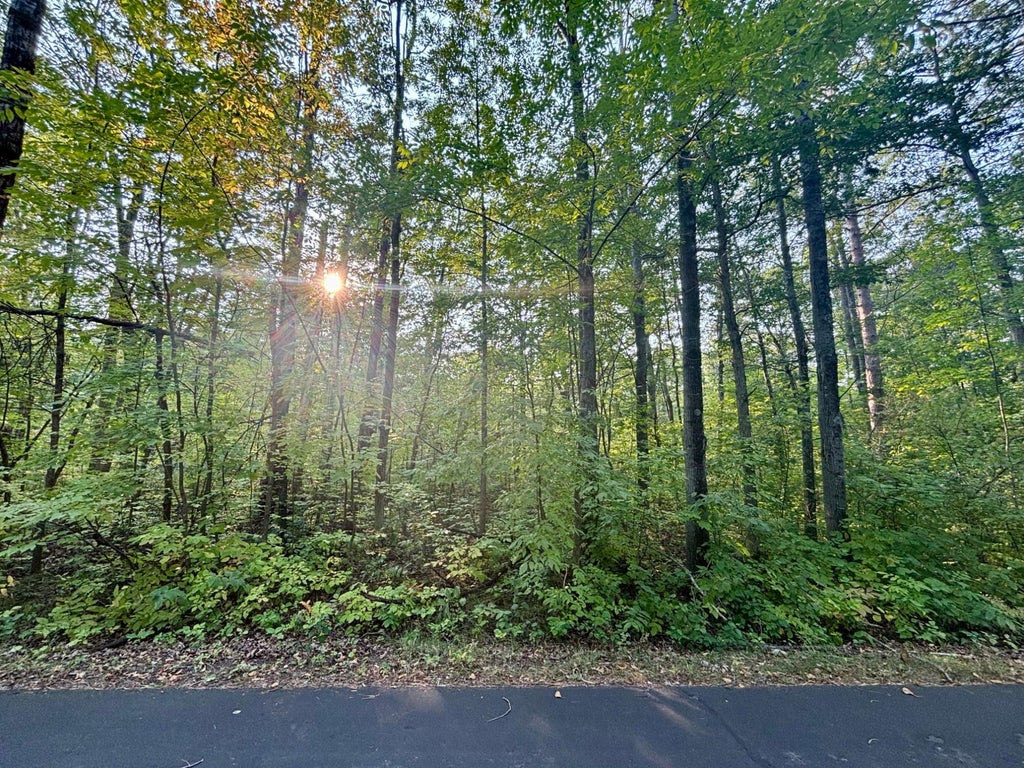 .55a On Scipio Ave, Hayward