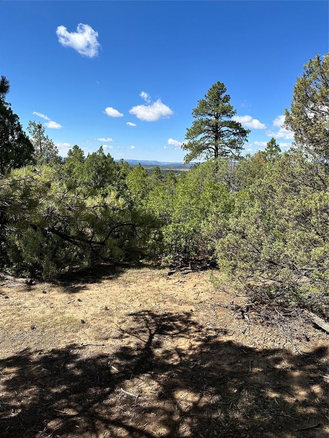 99 Private Drive 1781a, Chama