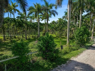 Photo of Listing #A11883161