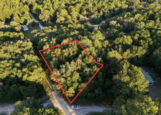 Photo of Listing #A11885805