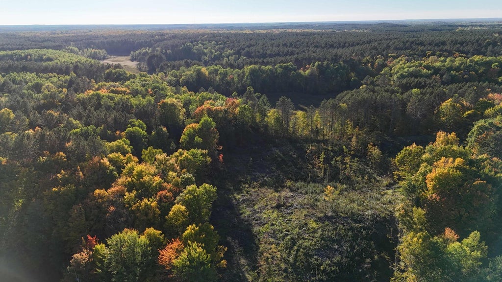 On S Newman Lake Rd, Park Falls