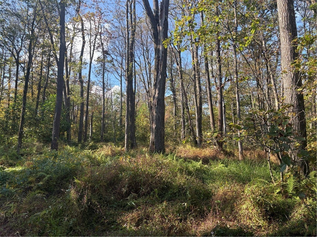 0000 County Line Road, Middlecreek