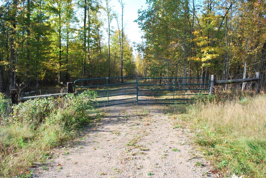 Near Hwy 55, Crandon