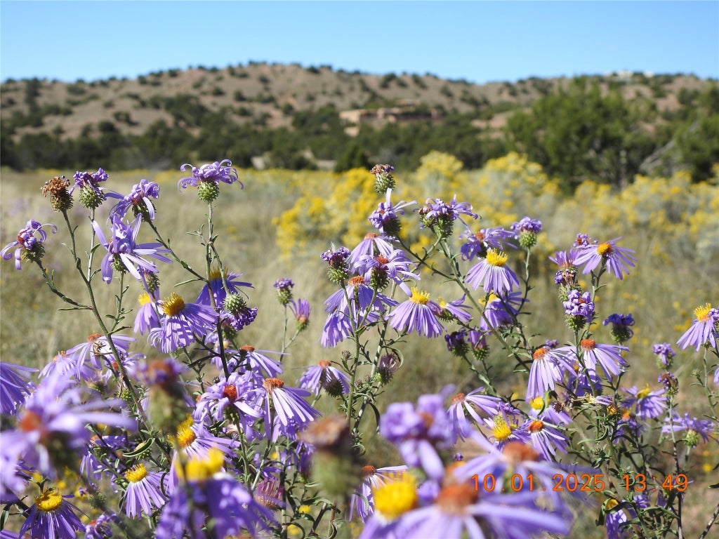 133 Paseo De La Tierra, Santa Fe