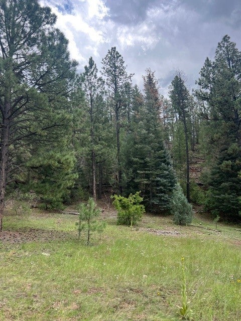 Lot D-!, 18.561 Acres In El Macho Canyon, Pecos