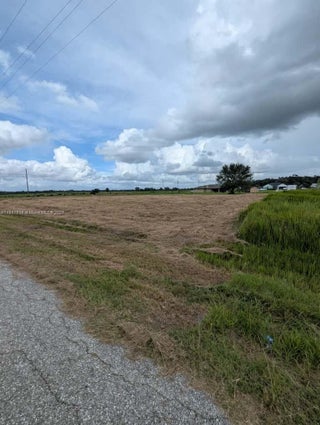 Photo of Listing #A11887806