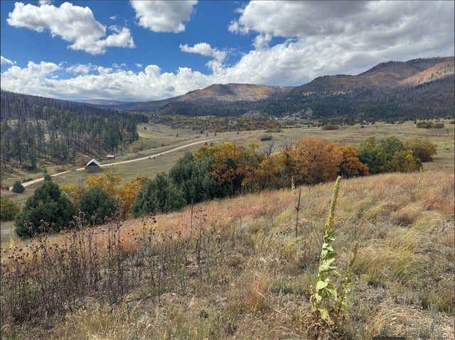 21.745ac Los Alamitos Rd, Chacon