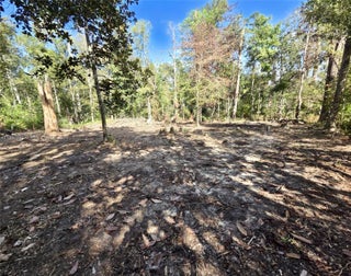 Photo of Listing #A11892391