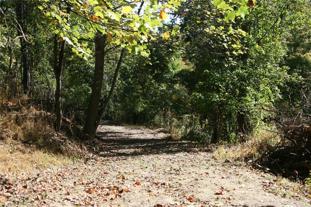 Leetwood Avenue, Aleppo