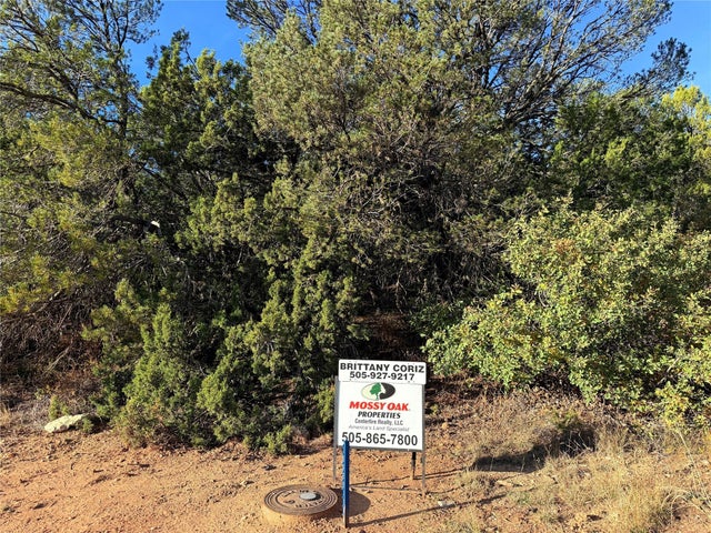 9 Peterson Rd., Edgewood