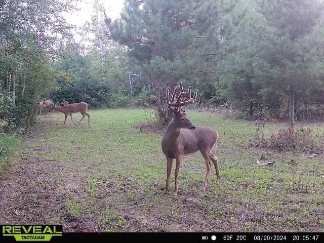 00 56th Street, Frederic