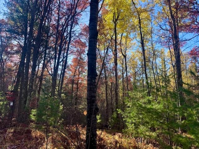 11470 Dale Ct, Minocqua