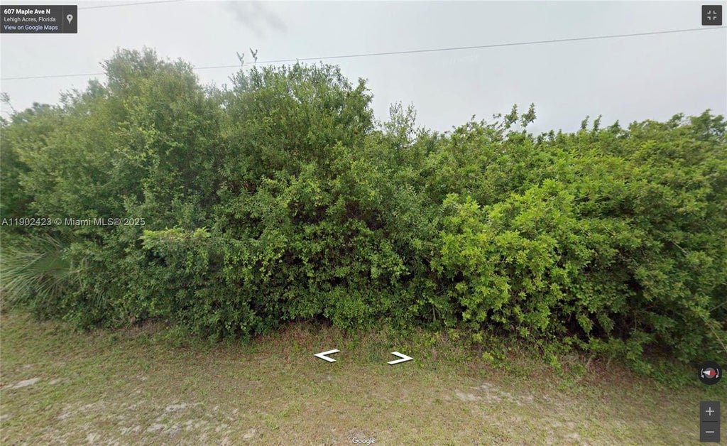607 Maple Ave N, Lehigh Acres