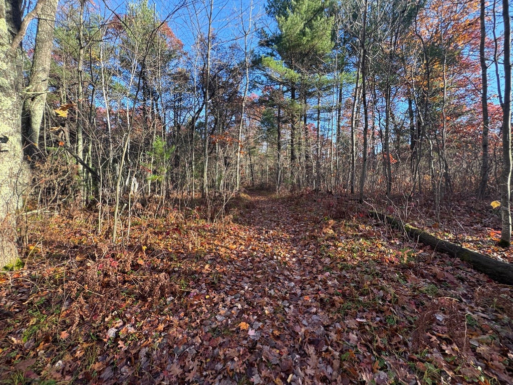 11482 Hill And Dale Dr, Minocqua