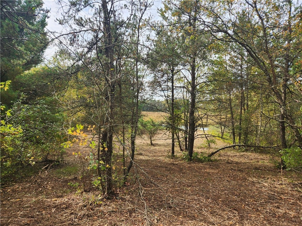 Lot 1 & 2 Of Csm 1548 N County Road F, Chetek