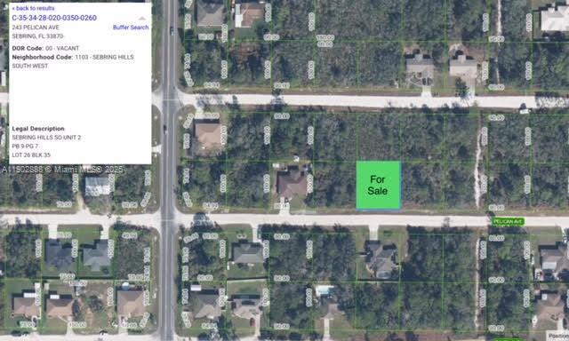 243 Pelican Ave, Sebring