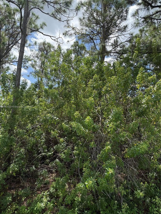 4 of 15 - 0000 Unassigned, Indian Town, FL