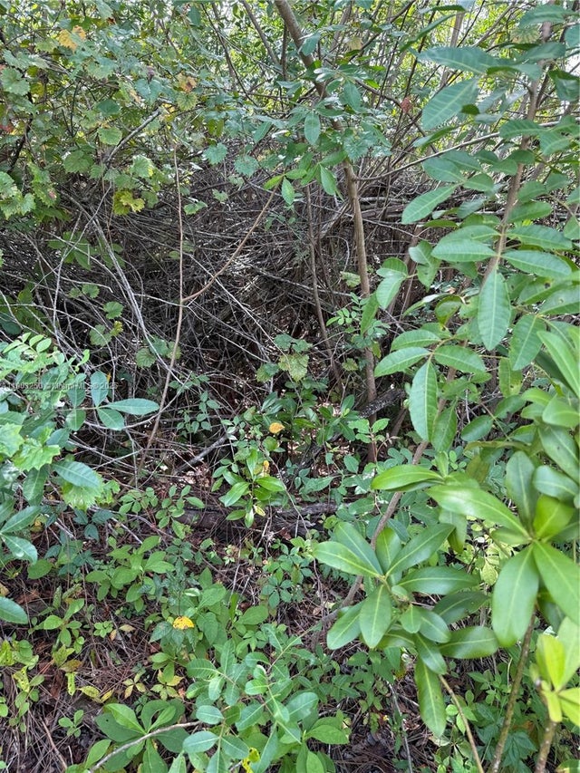 5 of 15 - 0000 Unassigned, Indian Town, FL