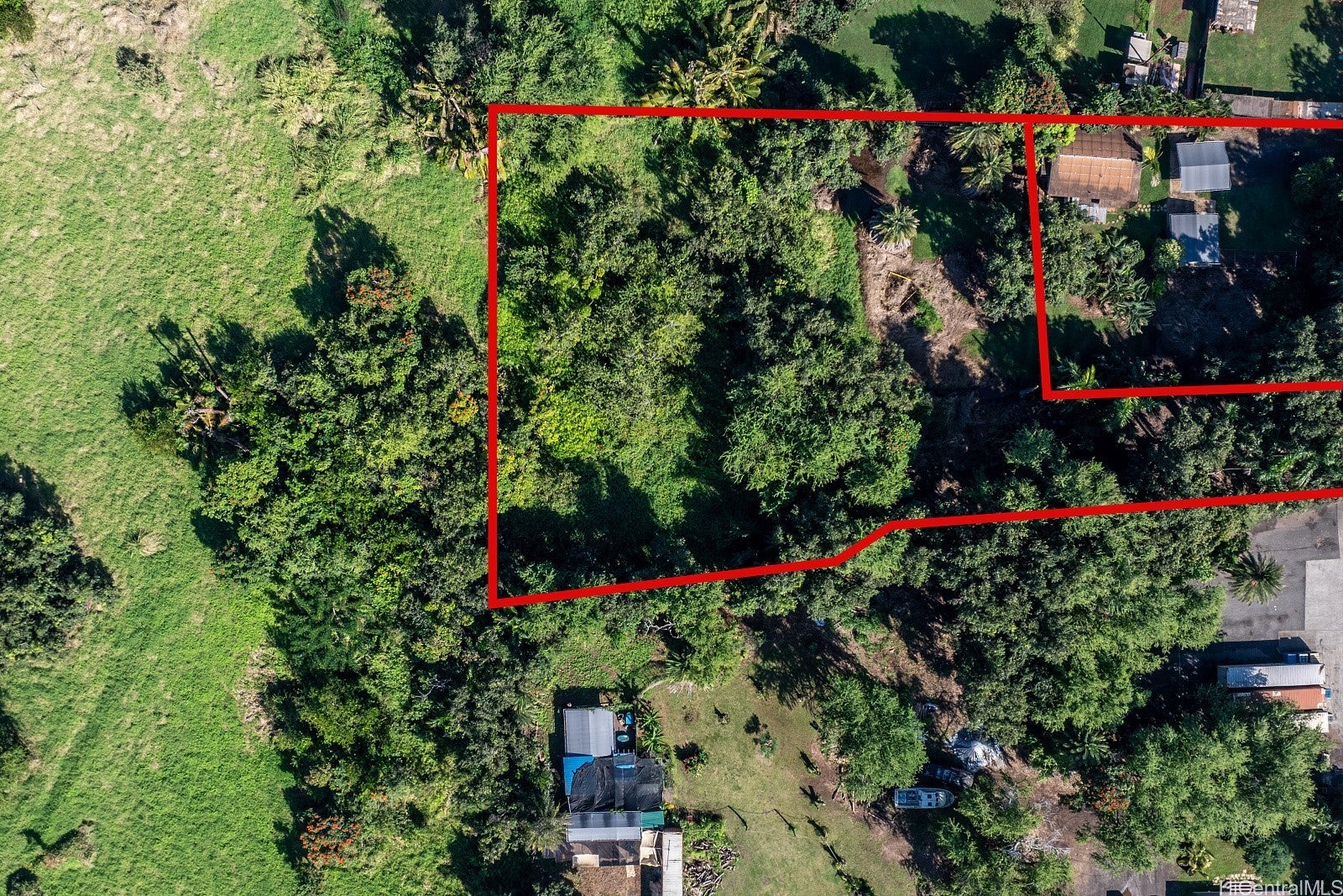 Photo of Listing #202524396