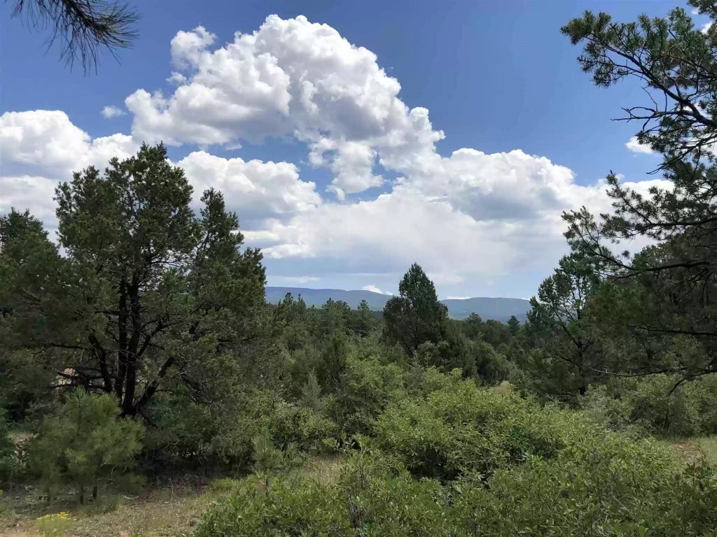 58 Silver Feather Trail, Pecos