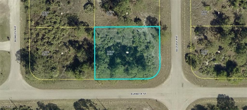 1264 Belfast Ave, FORT MYERS