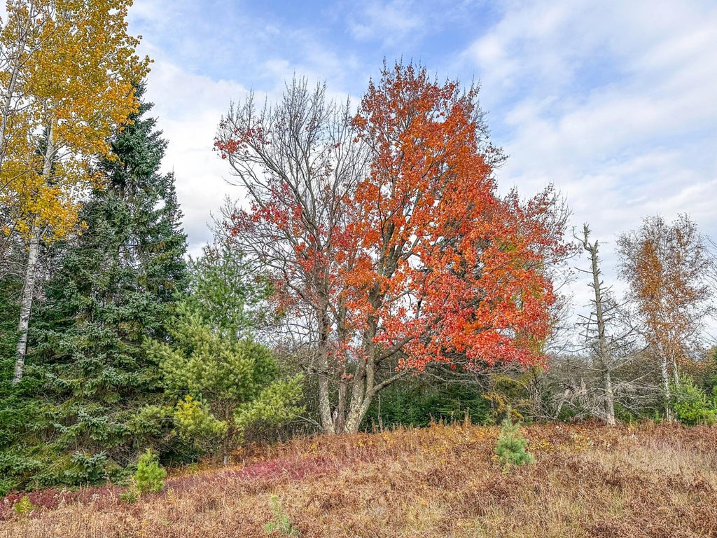 1.36a Darlaks Bay Ln, Phillips