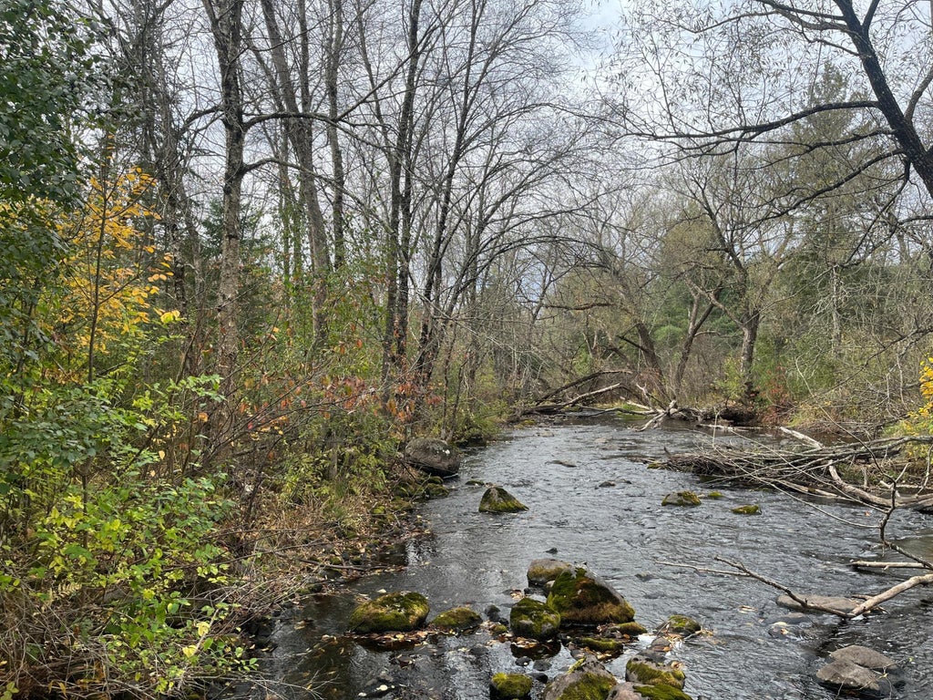 36+a On Old 13 Rd, Fifield