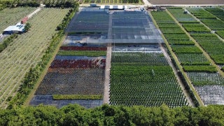 Photo of Listing #A11891590