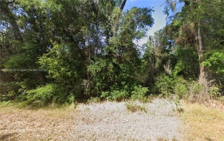 Photo of Listing #A11905472