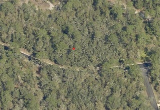 Photo of Listing #A11905573