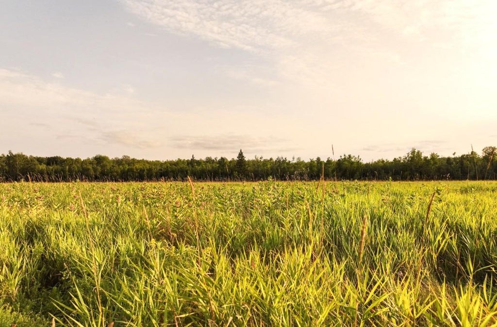 On Suring Ln # 31 Acres, Argonne