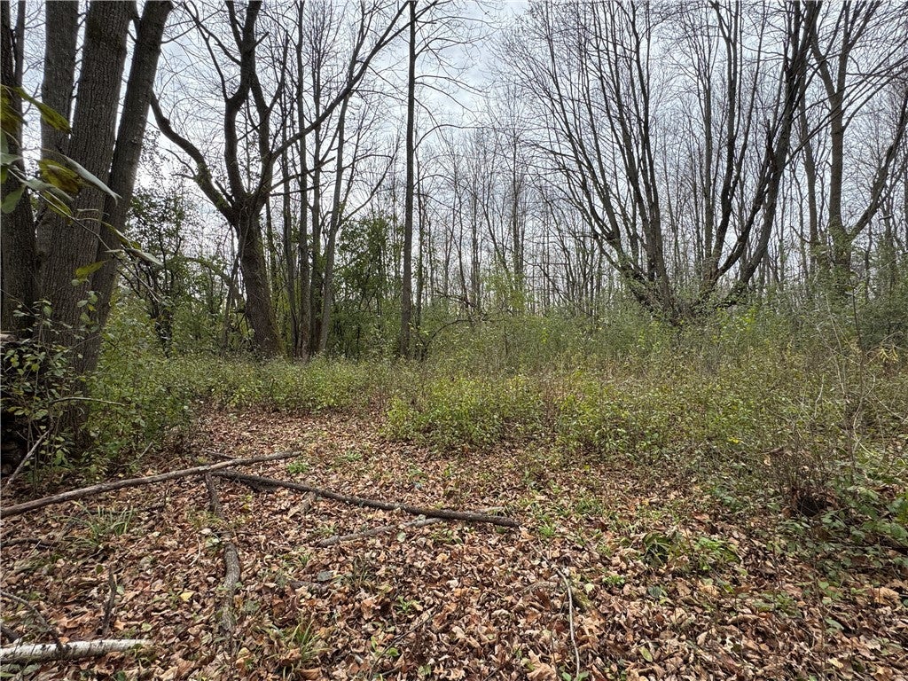 1410 Agnes Avenue, Ladysmith