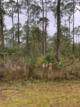 Photo of Listing #A11908726